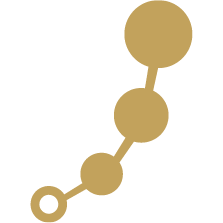 Vision Icon